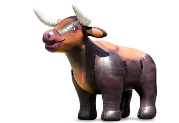 Bestel jumbo opblaasbare koe van liefst 5 meter hoog. Koop springkussens online bij JB Inflatables Nederland