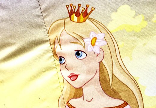 Mini castello gonfiabile a tema principessa in vendita per bambini. Acquista castelli gonfiabili su JB Gonfiabili Italia online