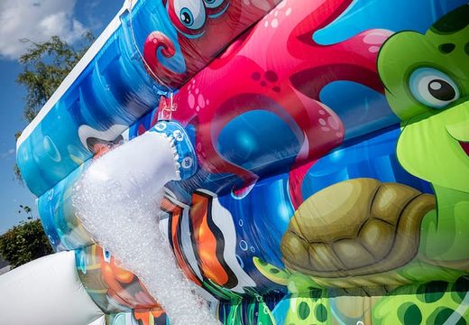 Apri il mondo marino di Bubble Park con una gru in schiuma da usare per i bambini. Ordina i castelli gonfiabili da JB Gonfiabili Italia