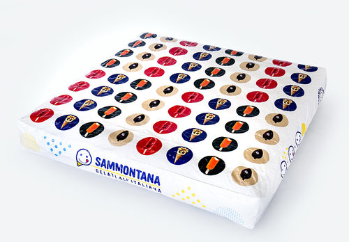 Sammontana twistermat; opblaasbare attractie kopen voor zowel jong als oud. Bestel opblaasbare matten nu online bij JB Promotions Nederland